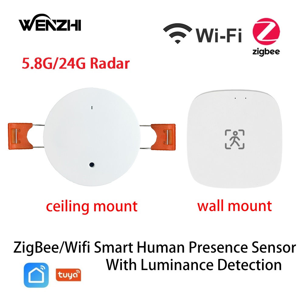 Smart Home Diy - ZigBee Wifi MmWave Sensore di movimento