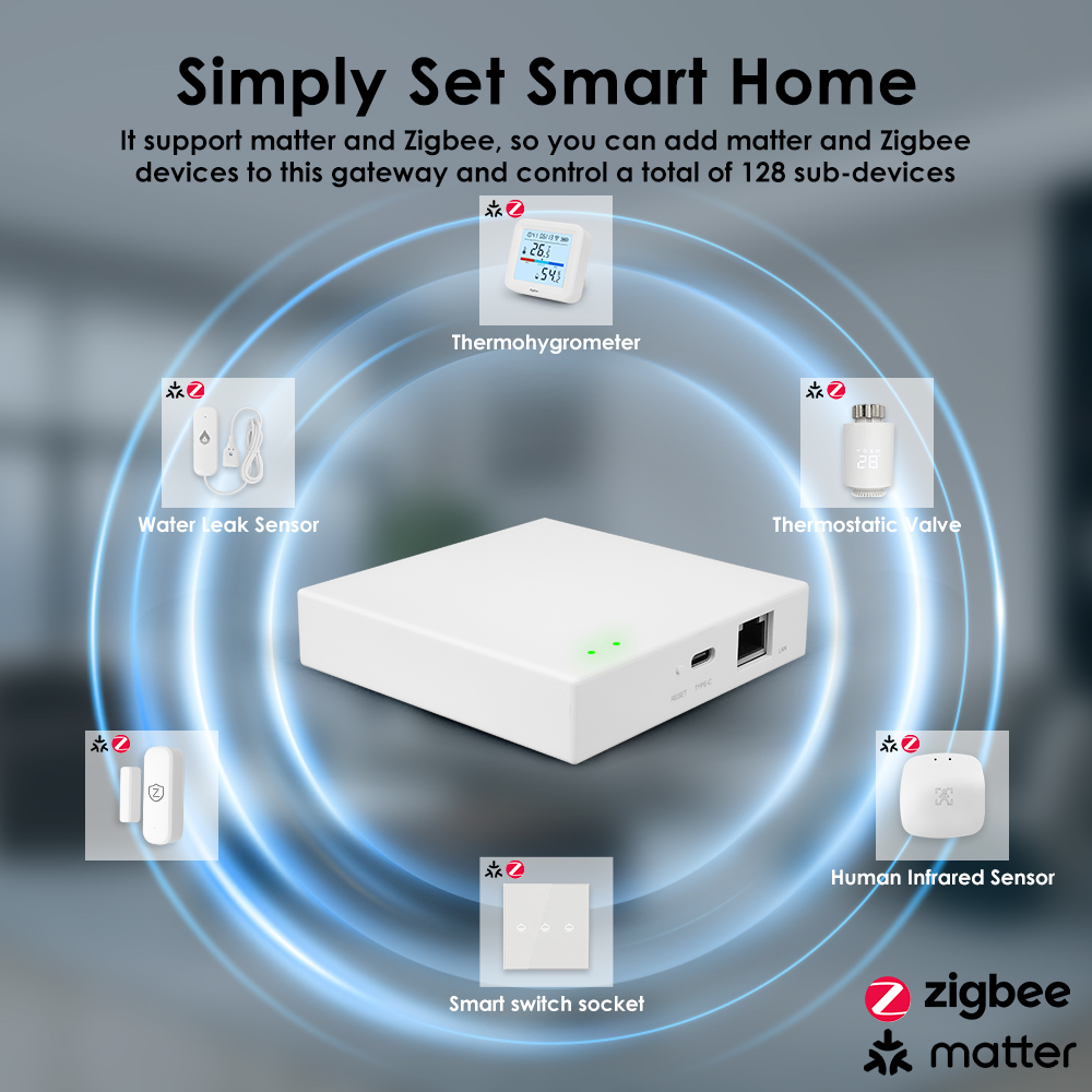 Gateway Cablato Tuya Zigbee Ma - Smart Home Offline System recensione e prezzo
