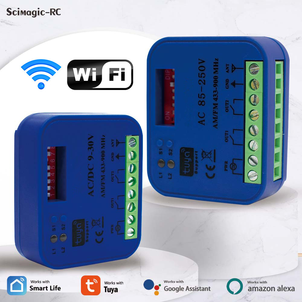 2CH Tuya WiFi Ricevitore telec - Universal Remote Smart Home recensione e prezzo